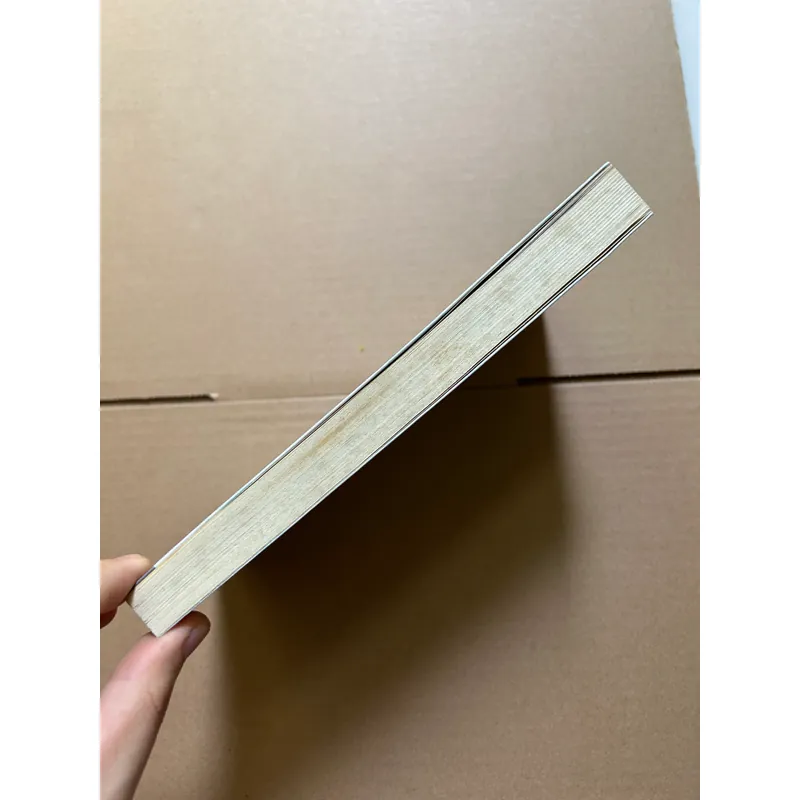 Mình là cá, việc của mình là bơi 734299