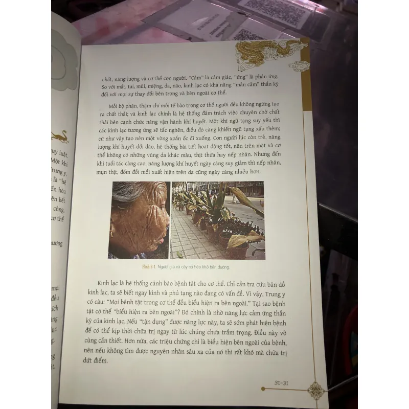 Cẩm nang dưỡng sinh thông kinh lạc  1029288