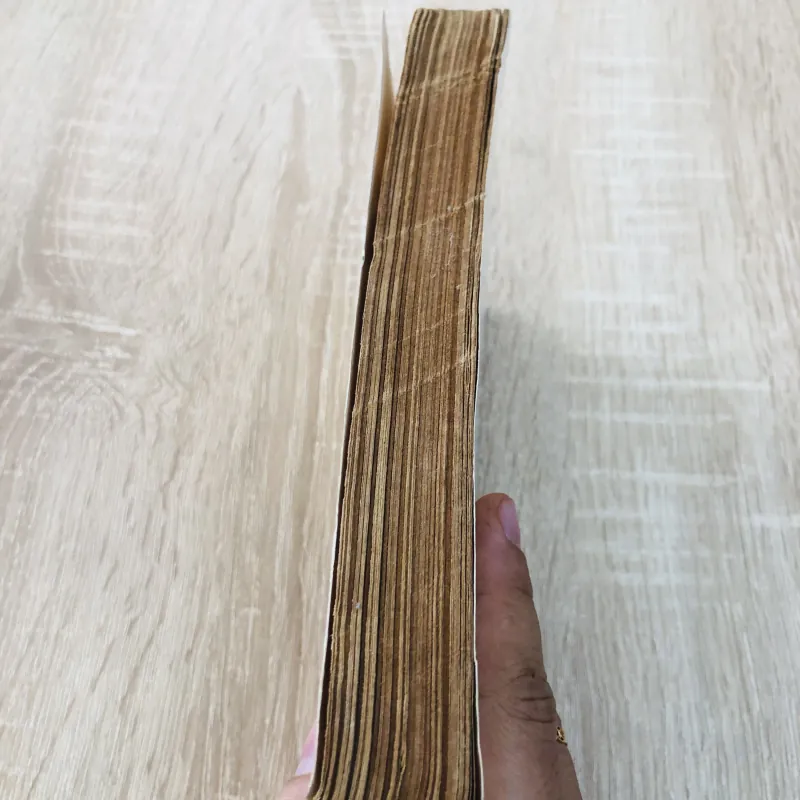 BÓNG NHẠN ÂN TÌNH 961423