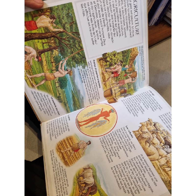 La Grande Imagerie : Pour Les Faire Connaitre Aux Enfants (11 cuốn) 450433