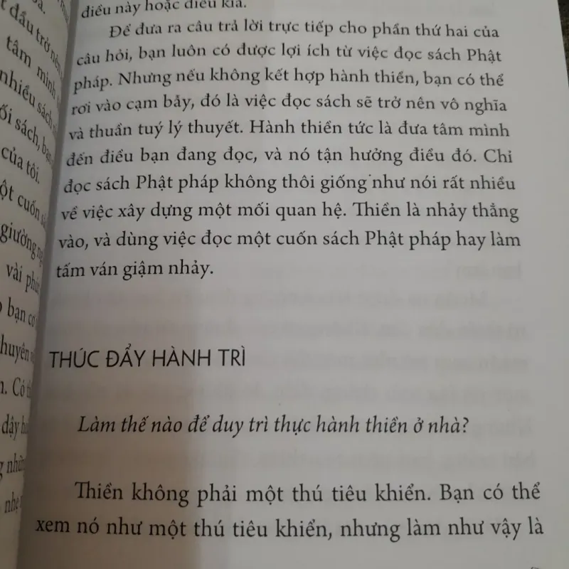 Sách Thiền Tâm - Bước đi như Phật. Tác giả Lodro Rinzler 756608