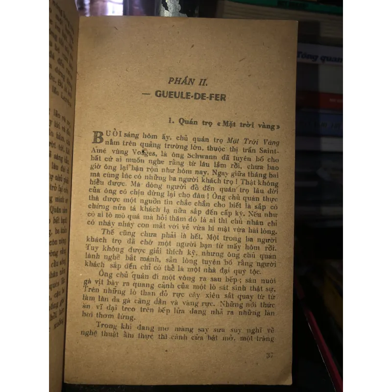 Con trai bá tước Monte Cristo - Jules Lermina 796881