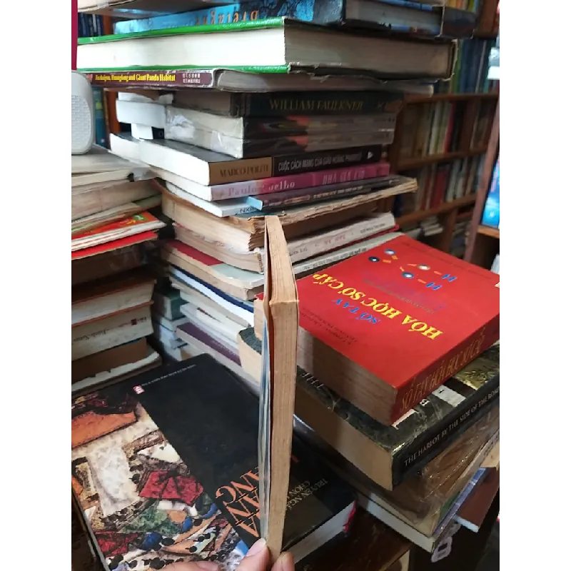 L'étrange histoire de Peter Schlemihl - Chamisso 606051