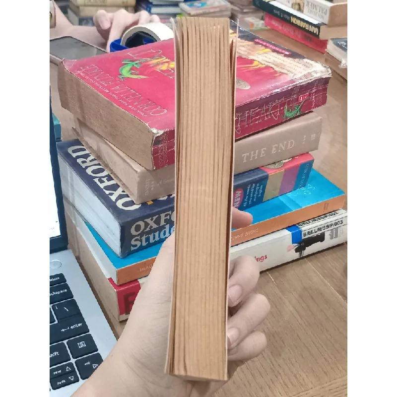 Small crimes in an ages of abundance - Matthew Kneale 675270