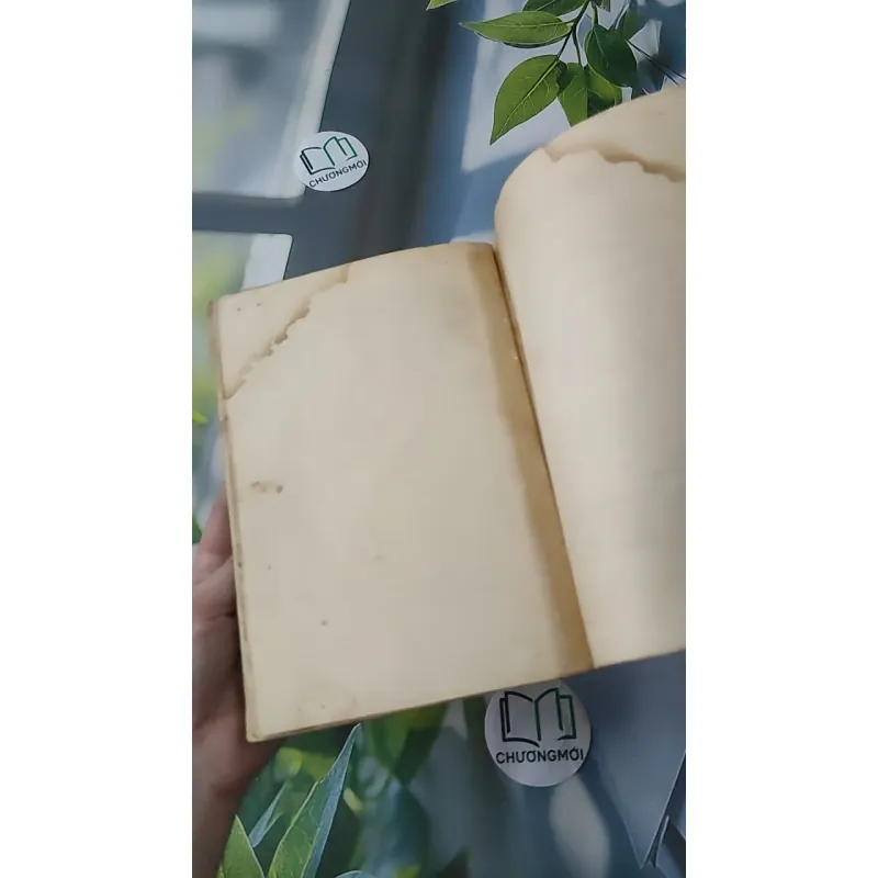 [MIỄN PHÍ BỌC SÁCH] [XƯA] Bàn Có Năm Chỗ Ngồi (1994) - Nguyễn Nhật Ánh 997850