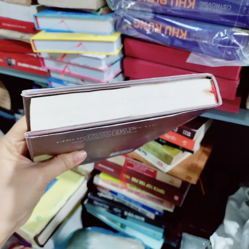 Hoạt động phận sự của giáo hội phật giáo VN tỉnh hoà bình 673723