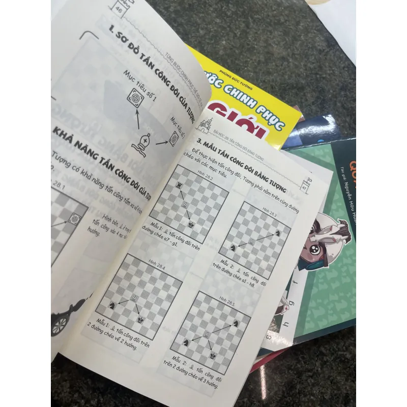 Cờ vua chơi mà học, Từng bước chinh phục thế giới cờ vua 689289