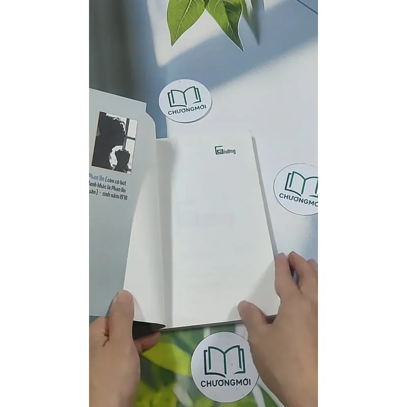 Giường - Phan An 694986