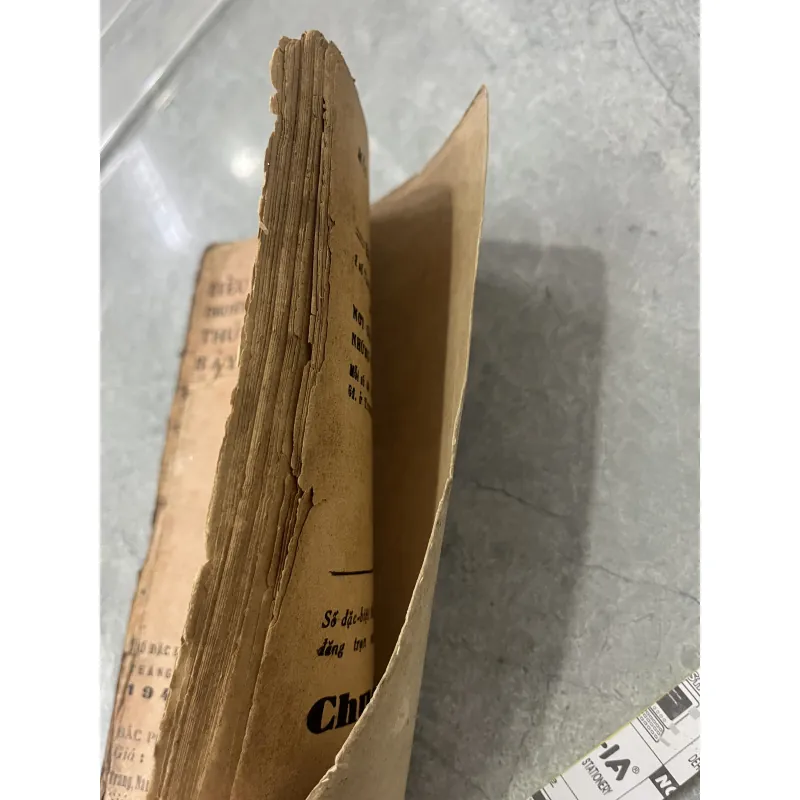 TỔ QUỐC TRÊN HẾT - VŨ ĐÌNH LONG 973312