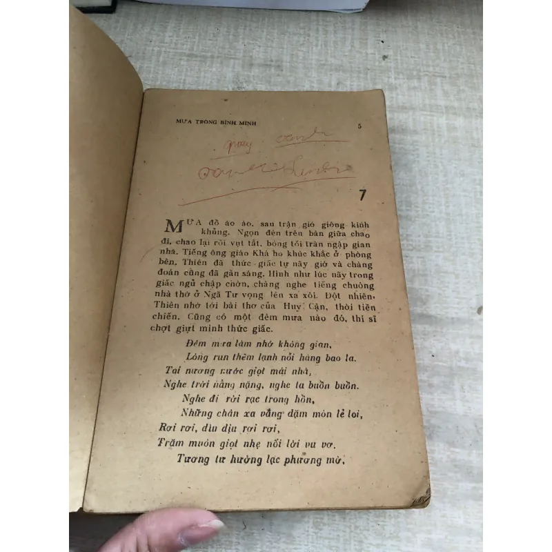 Mưa trong bình minh 1007164