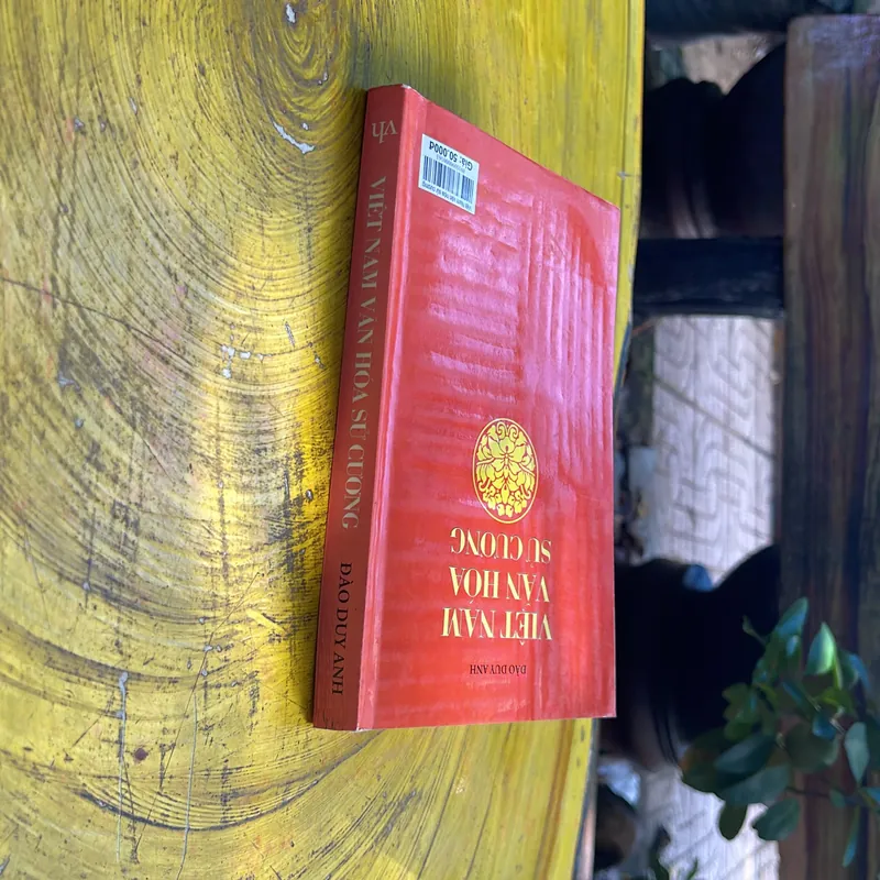 VIỆT NAM VĂN HOÁ SỬ CƯƠNG- ĐÀO DUY ANH 571913