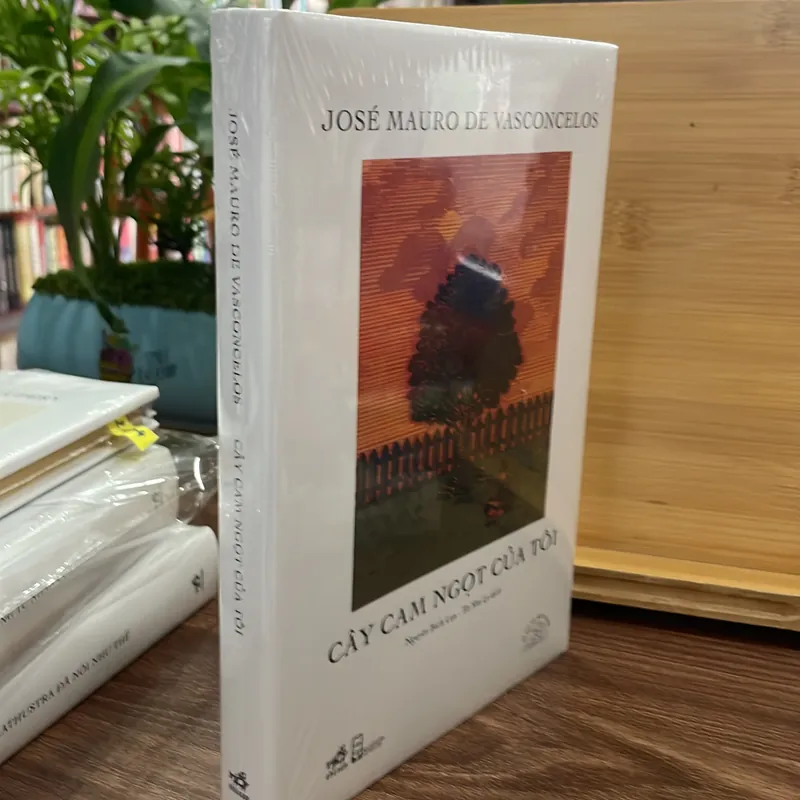 Cây Cam Ngọt của tôi 740604