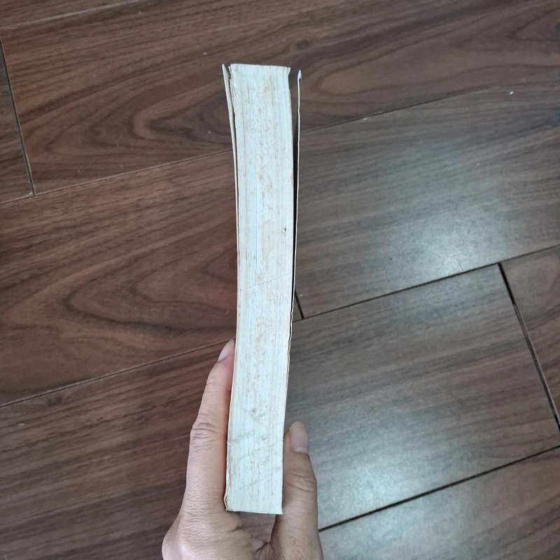 Từ điển thuật ngữ lịch sử phổ thông 532536