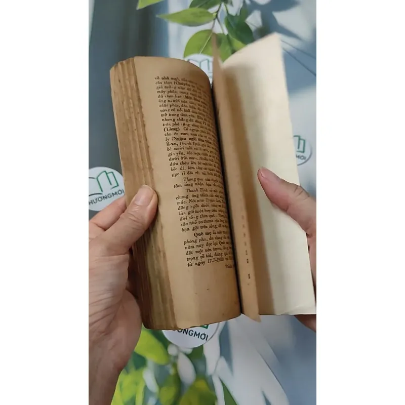 [XƯA] Quê Mẹ (1989) - Thanh Tịnh 775985