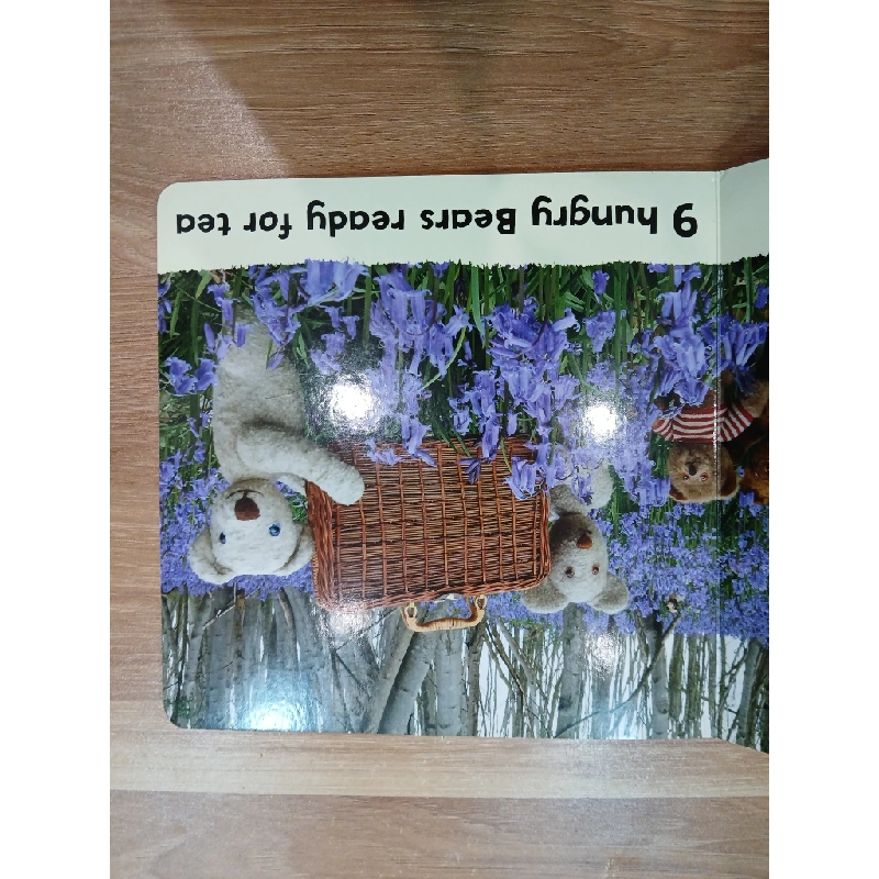 Bluebell Bears - David Ellwand 543913
