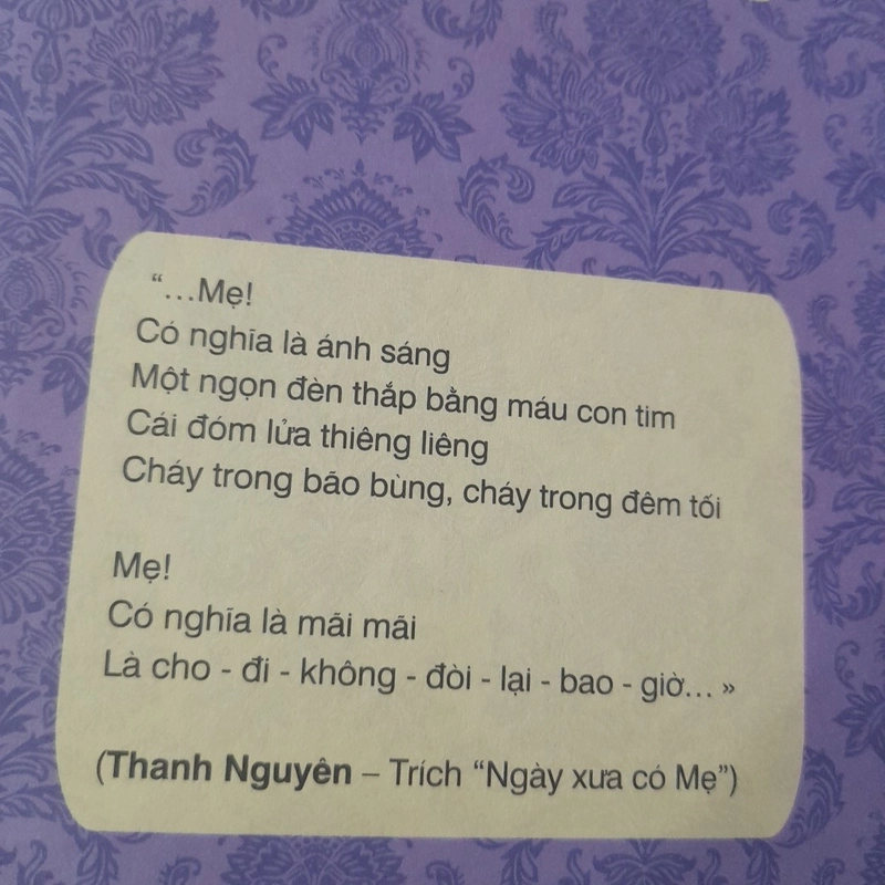 Xin ĐỪNG LÀM MẸ KHÓC 450443