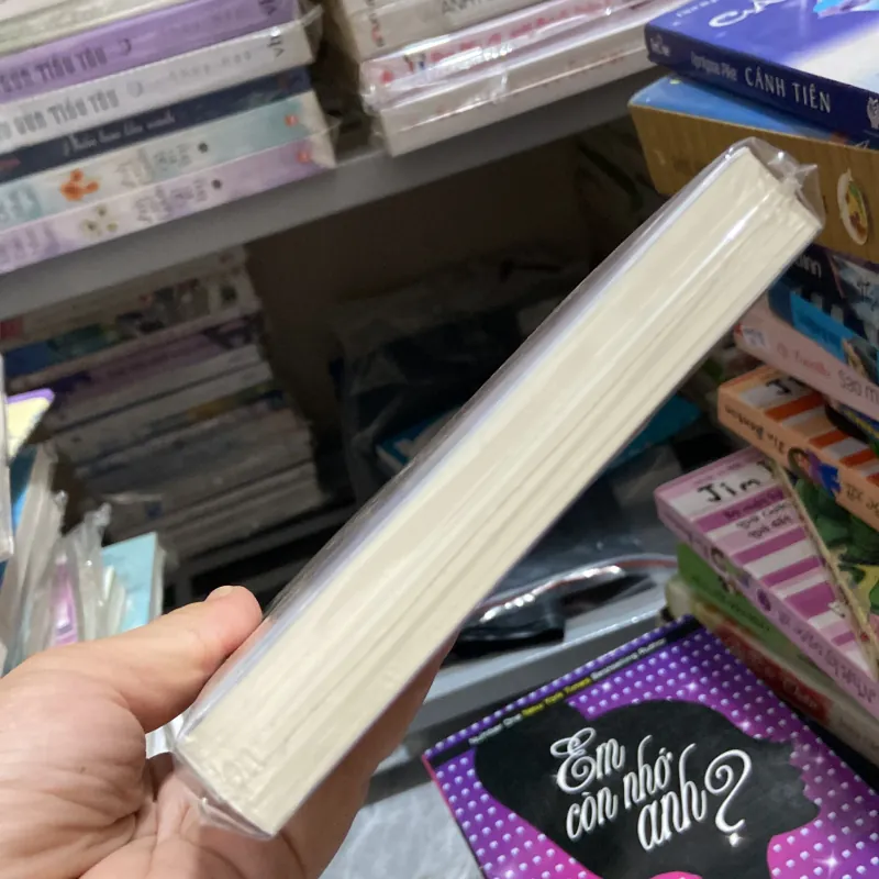 Tôi từng là em trai của một Hiki Komori 970374