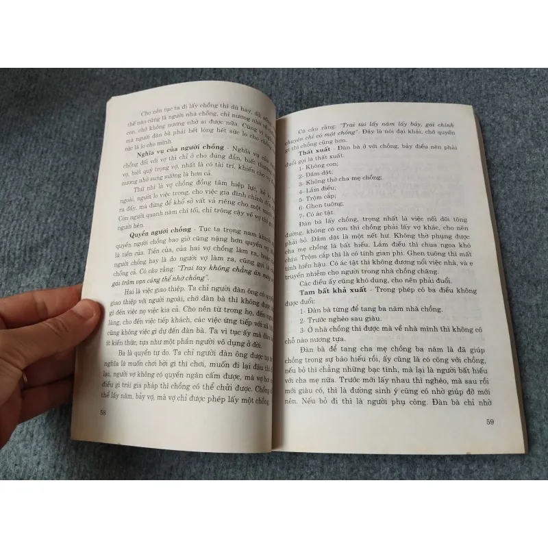 VIỆT NAM PHONG TỤC - PHAN KẾ BÍNH 729253