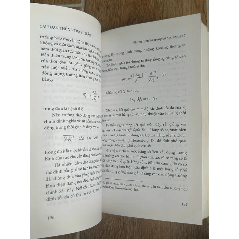 Cái Toàn Thể Và Trật Tự Ẩn - David Bohm (Hiếu Tân dịch, NXB Tri Thức) 731610