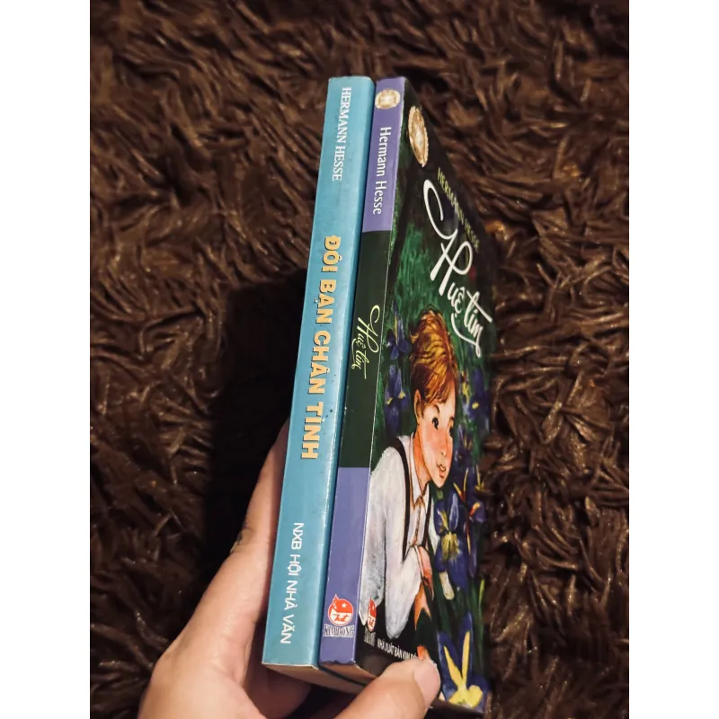 Combo Hermann Hesse 1030636