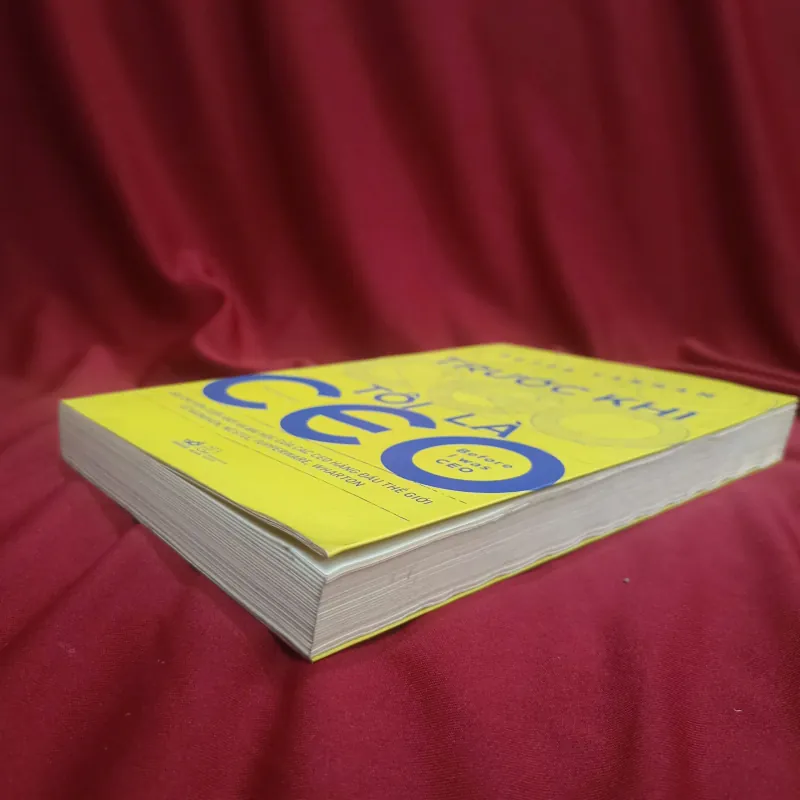 Trước khi tôi là CEO  📚 1013265