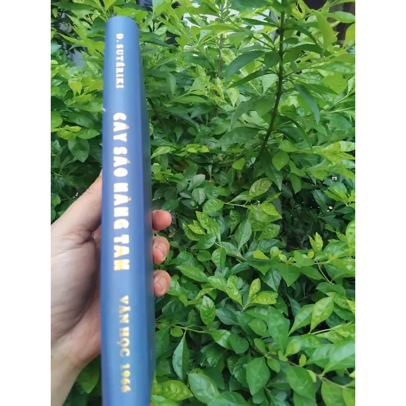 Cây sáo nàng Tan tập truyện Albania 1004721