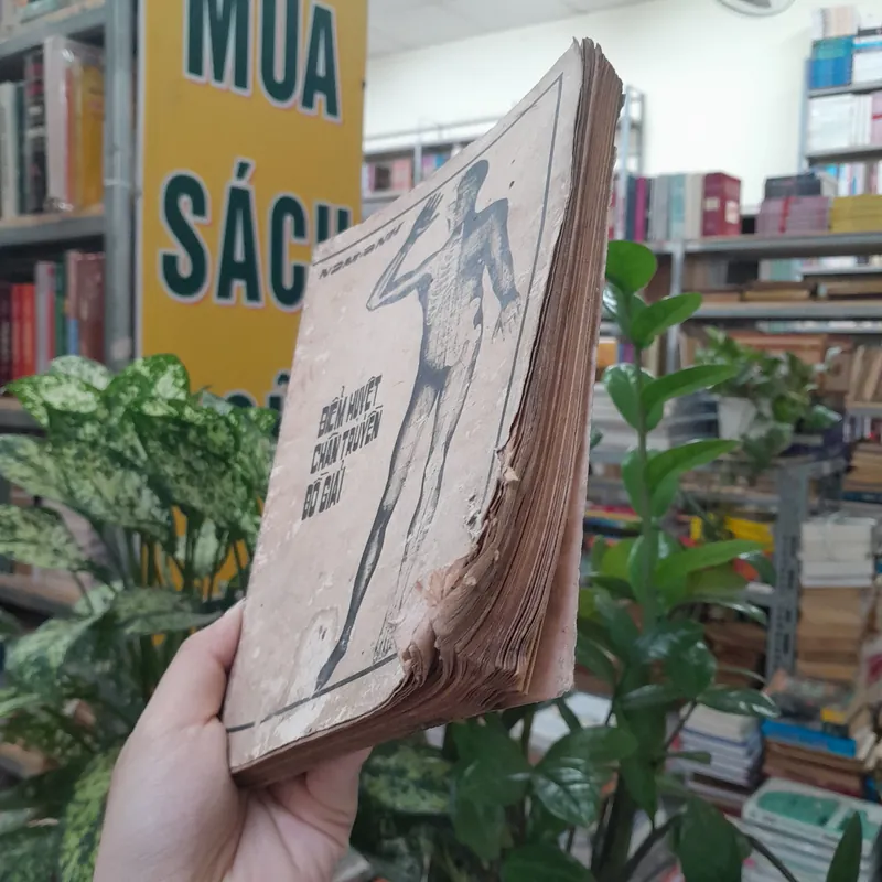 ĐIỂM HUYỆT CHÂN TRUYỀN ĐỒ GIẢI - NAM ANH 738617