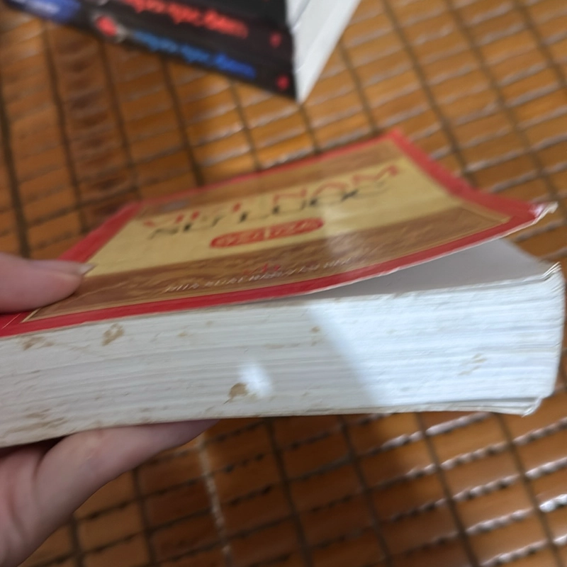 Việt Nam sử lược 497383