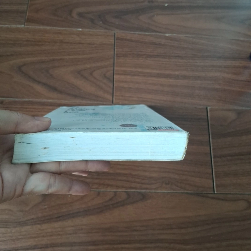 Hải thượng phồn hoa 508666