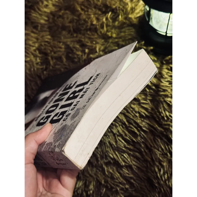 Gone girl cô gái mất tích 1021282