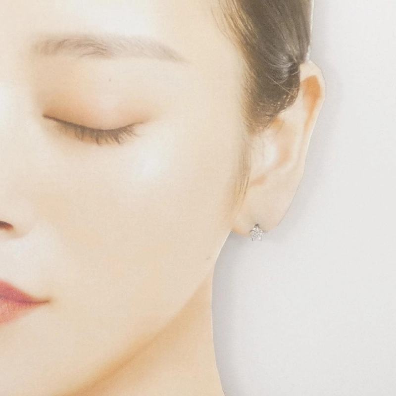 Bông tai kim cương PT900 hình hoa 0.20CT - Hàng hiệu Authentic 870264