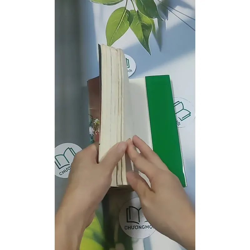 Bonsai: Cây dáng, thế và non bộ - Đỗ Hiệp 694948