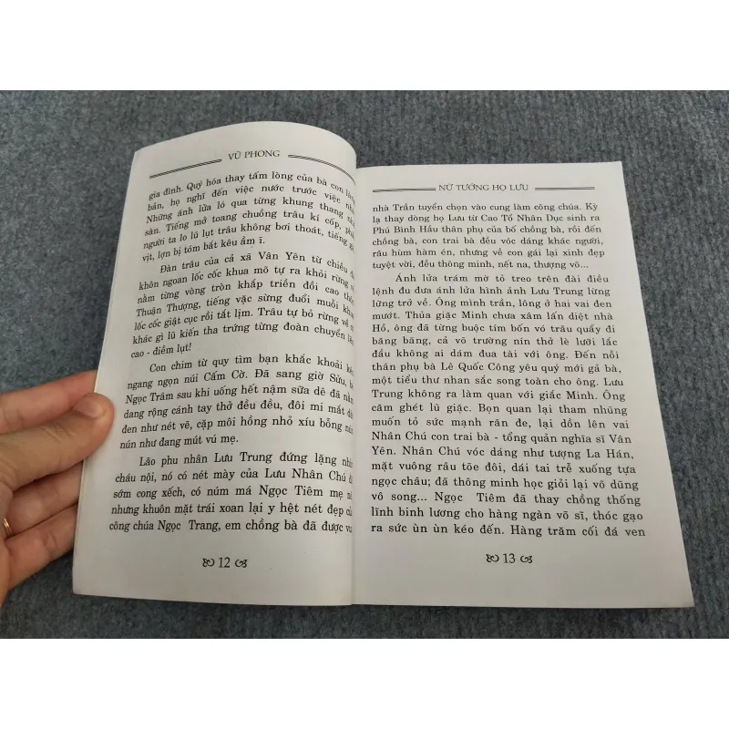 NỮ TƯỚNG HỌ LƯU - VŨ PHONG 993170