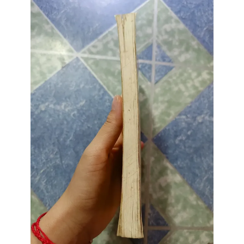 Sơ bộ tìm hiểu những vấn đề của truyện cổ tích qua truyện Tấm Cám - GS. Đinh Gia Khánh 1000185