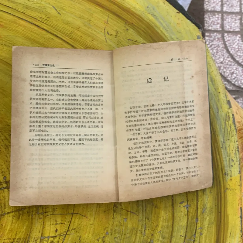 BÁCH XÍCH LÂU BÍ MẬT VĂN HOÁ - bản Tiếng Trung  1030261