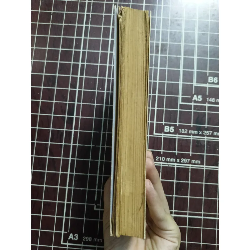 Phong trào duy tân - Nguyễn Văn Xuân 731132