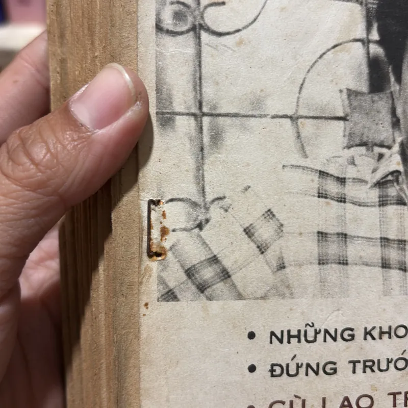 II Tiểu Thuyết: Yêu Như Là Sống - Nguyễn Mạnh Tuấn - 1988 781596