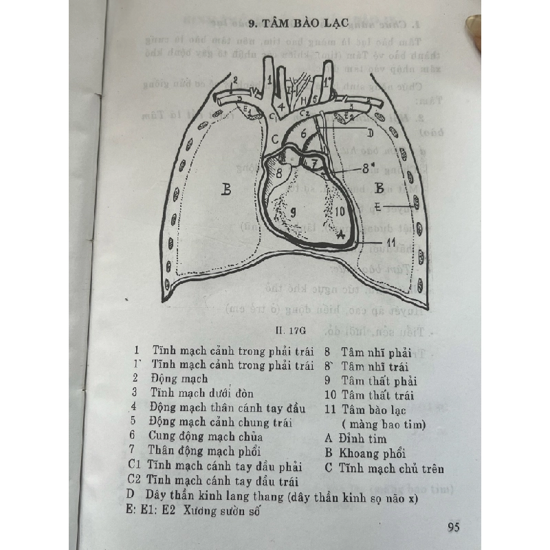 Khí công tự trị bệnh (Phương pháp Bùi Long Thành) 474296