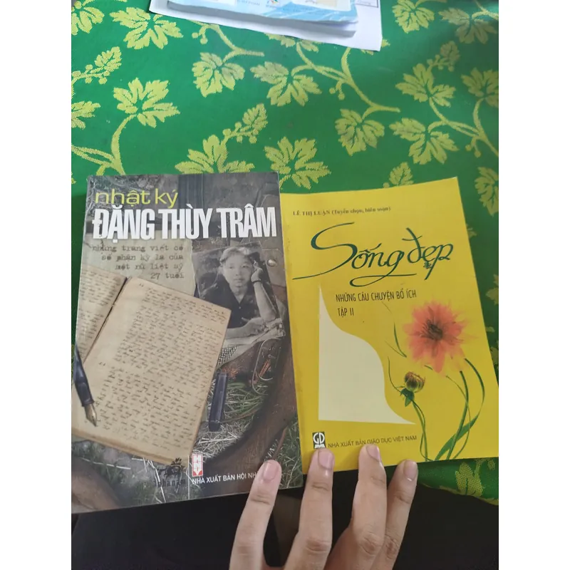 2 cuốn Sách Nhật Ký đặng thùy trâm 717043