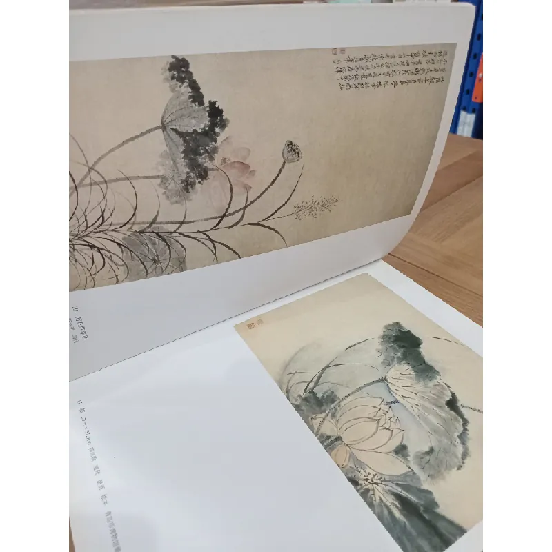 Sách tiếng Trung 5 596569