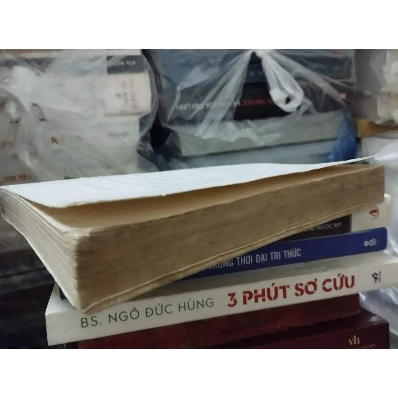 Linh hồn không nơi nương tựa 777254