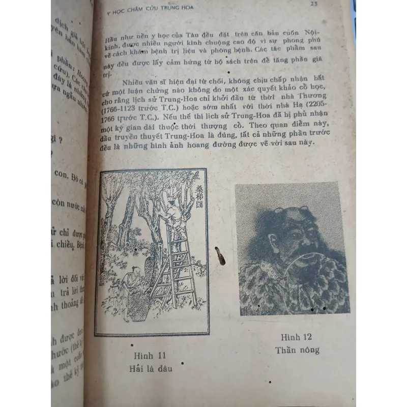 Y HỌC CHÂM CỨU TRUNG HOA - HÀNG THANH 754274