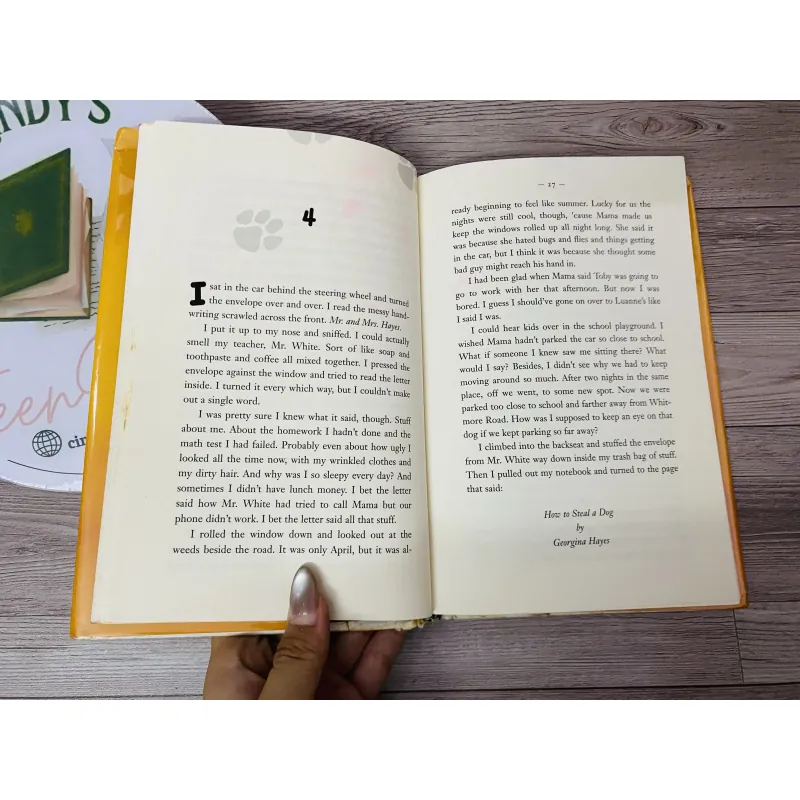 [Sách 2hand từ US] Like new 90% - How to Steal a Dog – Barbara O'Connor 991519