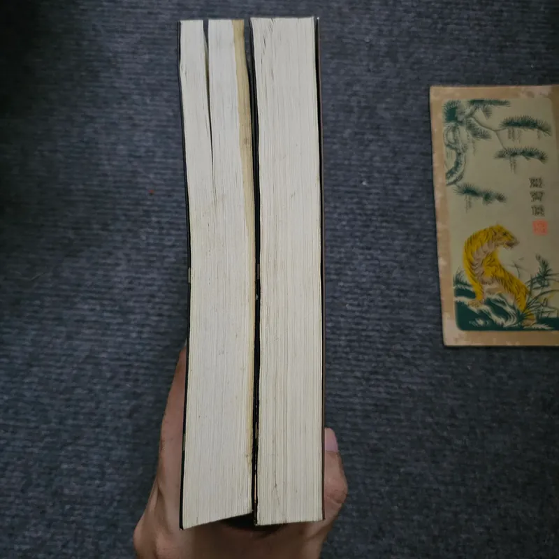 Đại gia - Thiên Sơn 730460