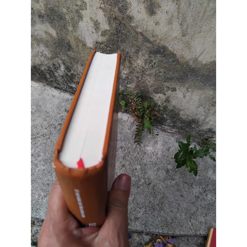 Dinh trấn Thanh Chiêm và chữ Quốc ngữ  1026084