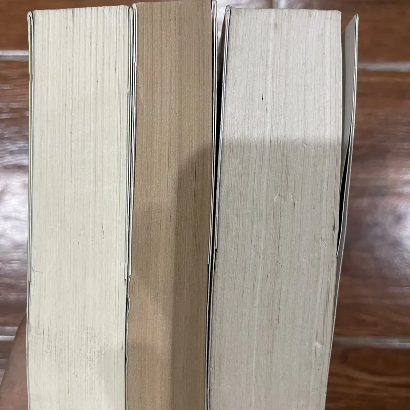 Pháp Thuật - Kinh Công - Y Thuật  Septimus Heap - Angie Sage - 3 tập (5) 621084