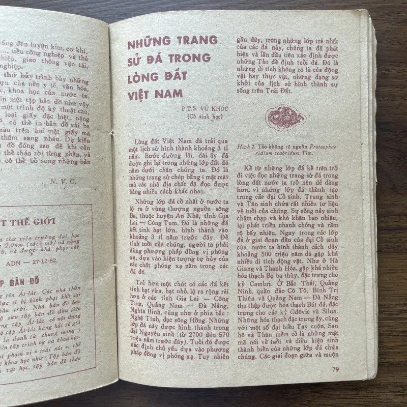 Sách lịch kiến thức phổ thông 1984 997104