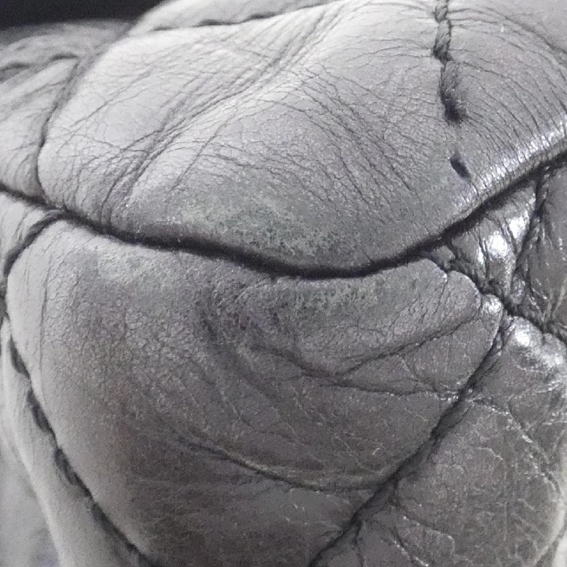 Túi xách chéo Chanel 611823