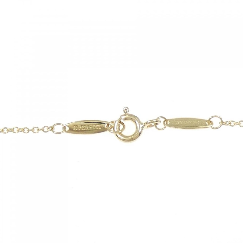 Dây chuyền Tiffany By The Yard - Hàng hiệu Authentic 843356