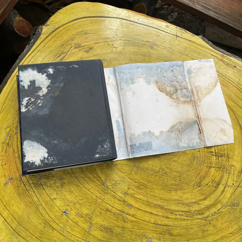 OXFORD ADVANCED LEARNER’S ENCYCLOPEDIC DICTIONARY  603317